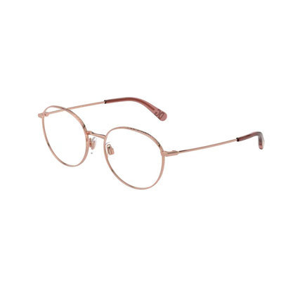 Dolce & Gabbana DG 1322 DG1322
